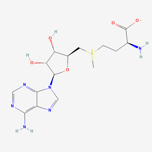 S-adenosylmethionine (SAM)